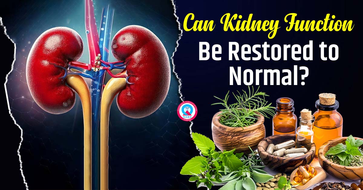 can-kidney-function-be-restored-to-normal